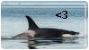 An surfacing orca, with <3 in black above it.